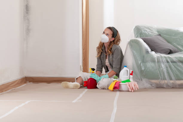 Reliable Mold Remediation contractor in Sharon, TN by WQB Mold Removal